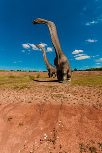 米兰体育官方网站-滑雪场寒假开放前安全演练全覆盖,滑雪场安全提示牌